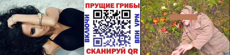 Псилоцибиновые грибы MAGIC MUSHROOMS  купить  сайты  Ишимбай 